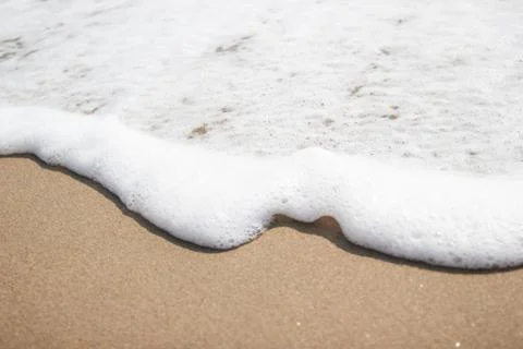 Soft ware on sand at the beach, copy space for text Photos