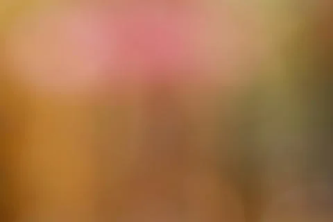 Soft warm gradient background in orange, pink, and brown tones. Smooth and .. Stock Photos
