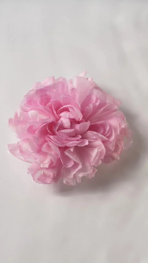 Soft water ripple with floating ranunculus flowers creating minimal spa Stock Footage 335042757