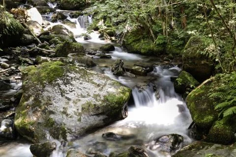 Soft water river Stock Photos
