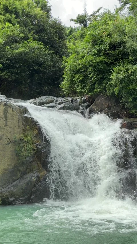 A soft waterfall descends into a clear jungle pool below, captured in slow Video stock 324889746