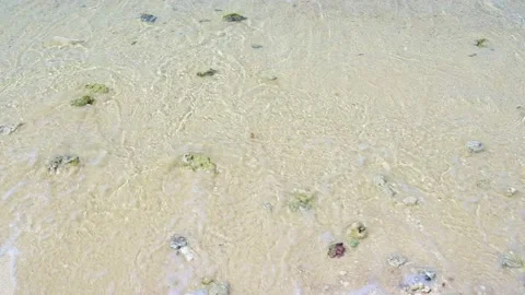 Soft wave with the blue ocean on a sandy beach. Stock-Footage 156849697