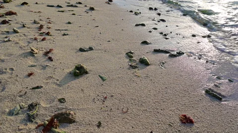 Soft wave with the blue ocean on a sandy beach. Stock-Footage 157033596