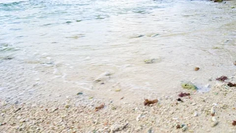 Soft wave with the blue ocean on a sandy beach. Stock-Footage 157033883