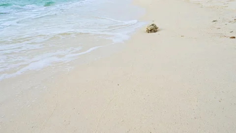 Soft wave with the blue ocean on a sandy beach. Stock-Footage 157040934