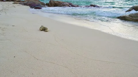 Soft wave with the blue ocean on a sandy beach. Stock-Footage 157041085