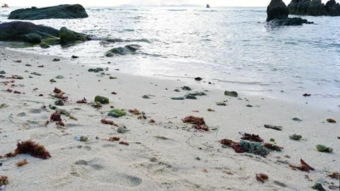 Soft wave with the blue ocean on a sandy beach. Stock-Footage 157058865