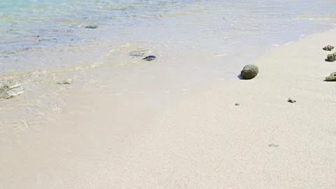 Soft wave with the blue ocean on a sandy beach. Stock Footage 159198000