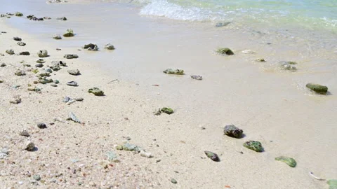 Soft wave with the blue ocean on a sandy beach. Stock Footage 159200016