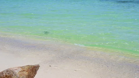 Soft wave with the blue ocean on a sandy beach. Stock Footage 160709199
