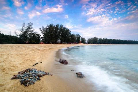 Soft wave of blue ocean on sandy beach during sunrise . Soft wave on sand bea Foto stock