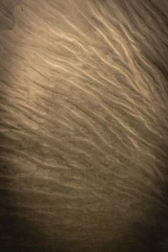 Soft wave-like patterns on a dimly lit surface creating warm abstract textu.. Stock-Fotos