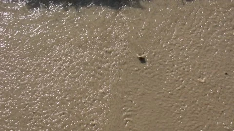 Soft Wave On Sandy Beach. Background. Selective focus. Video stock 161812697