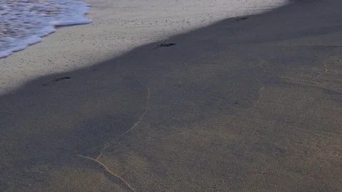 Soft wave on a sandy beach Stock Footage 74177551