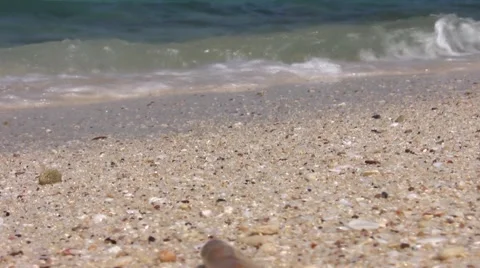 Soft wave of the sea on the sandy beach Stock Footage 48253527