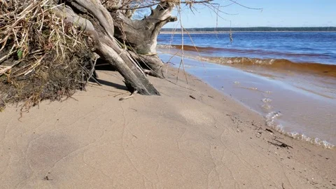 Soft wave of the sea on the sandy beach Stock Footage 73954679