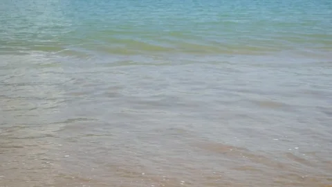 Soft wave of the sea on the sandy beach Stock-Footage 81465879