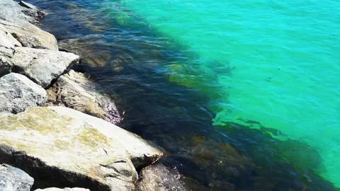 Soft wave of the sea on the sandy beach. Stock Footage 86297493