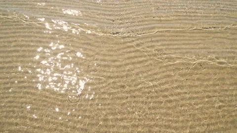 Soft wave of the sea on the sandy beach. Summer texture background Stock-Footage 93547197