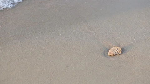 Soft wave of the sea on the sandy beach ,Beautiful Beach and Tropical Sea in Tha Stock Footage 106322301