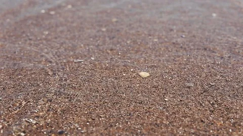 Soft wave of sea on sandy beach, sunny day Stock-Footage 111071047