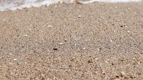 Soft wave of sea on sandy beach, sunny day. Stock Footage 111071052