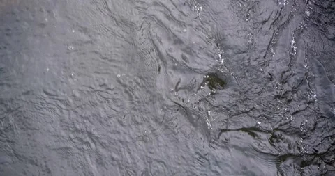 Soft Waves In Gentle Current Stock Footage 330896350