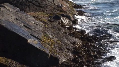Soft waves hitting rocks with algae Stock Footage 94032507