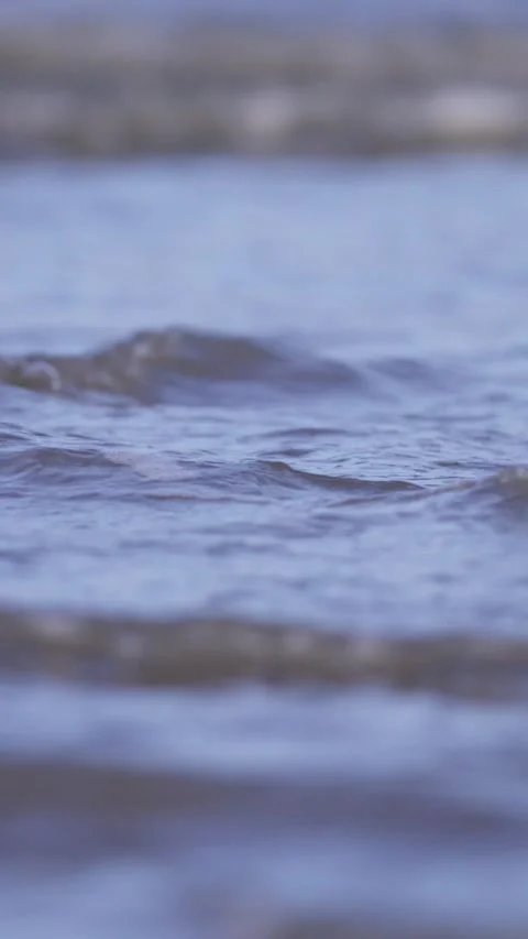 Soft Waves Lapping Gently on a Quiet Shoreline Stock Footage 335197774