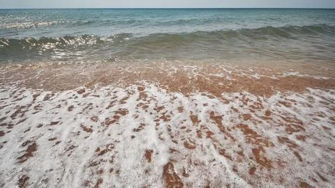 Soft waves lapping sandy crimean shoreline, revealing peaceful maritime Фото