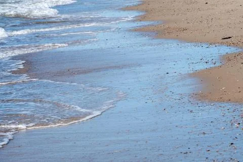 Soft Waves Lapping at a Shelly Beach Shoreline A gentle surf washes over a... 写真素材