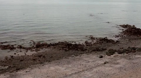 Soft Waves Rocky Beach Stock Footage 1078920