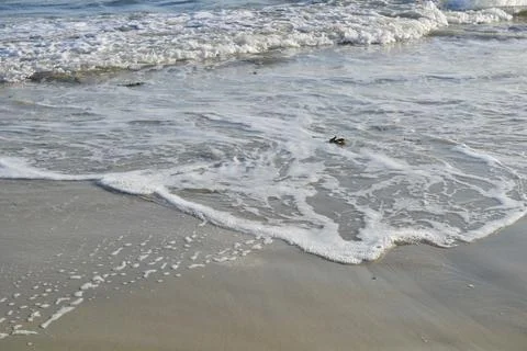 Soft waves on a sandy beach Stock Photos