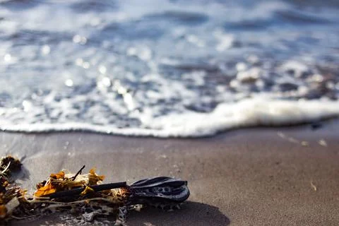 Soft waves of sandy beach Stock Photos