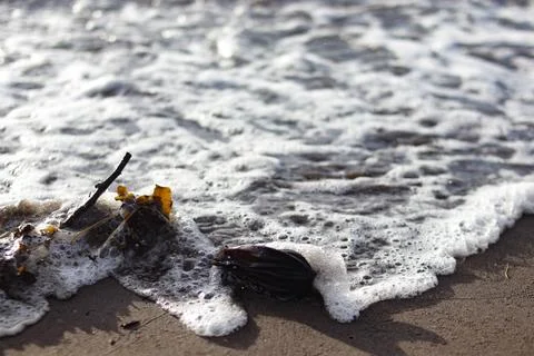 Soft waves of sandy beach Stock Photos