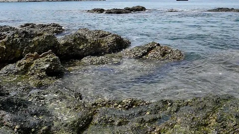 Soft waves in the sea Stock Footage 84455503