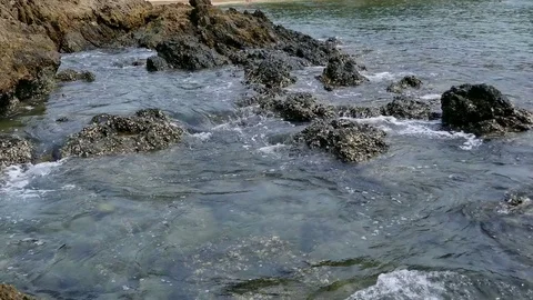 Soft waves in the sea Stock Footage 84469275