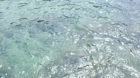 Soft waves in the sea Stock Footage 84471832