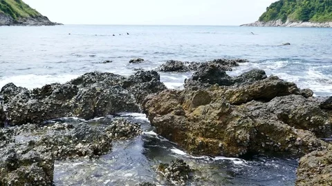 Soft waves in the sea Stock Footage 84473676