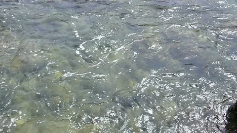 Soft waves in the sea Stock Footage 84474777