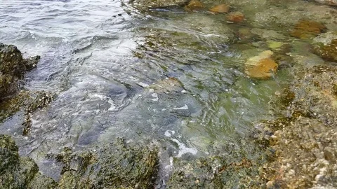 Soft waves in the sea Stock Footage 84478954