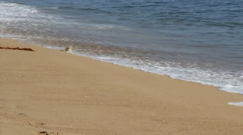 Soft waves on shoreline sand Stock Footage 30461425