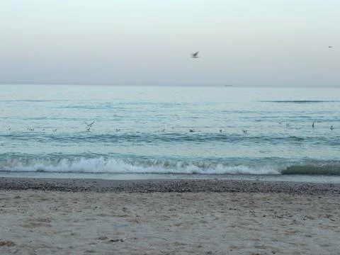 Soft waves wash onto a sandy beach with birds flying over the water at sunset Stock-Fotos