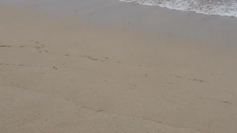 Soft waves washing over sandy beach. Beautiful sunny day at sea shore Stock Footage 139046044