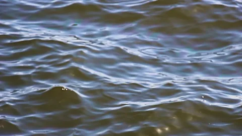 Soft waves in the water Stock Footage 114083190