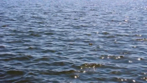 Soft waves in the water under the sun Stock Footage 114231507