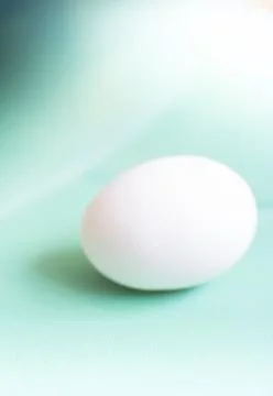 Soft white abstract egg Stock Photos