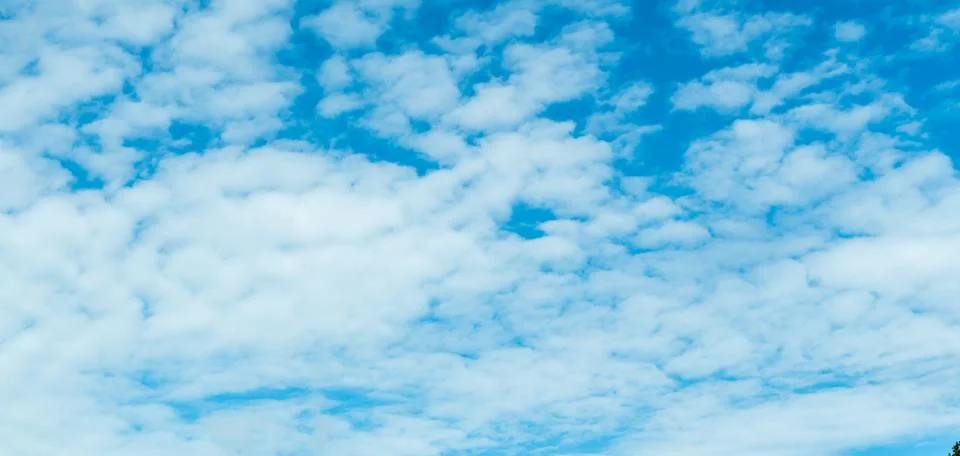 Soft white altocumulus clouds scattered across a blue summer sky in a horizontal Stock Photos