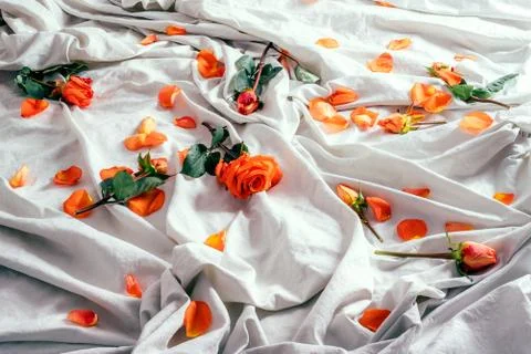 Soft white bedding with orange red roses and petals Stock Photos