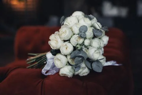 Soft white blooms rest on deep red velvet Foto stock